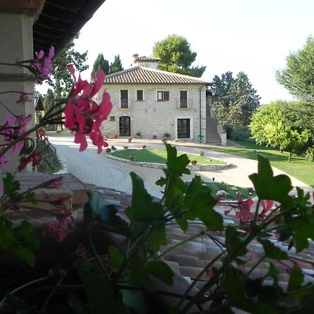 Tenuta Pizzogallo Amelia Dış mekan fotoğraf
