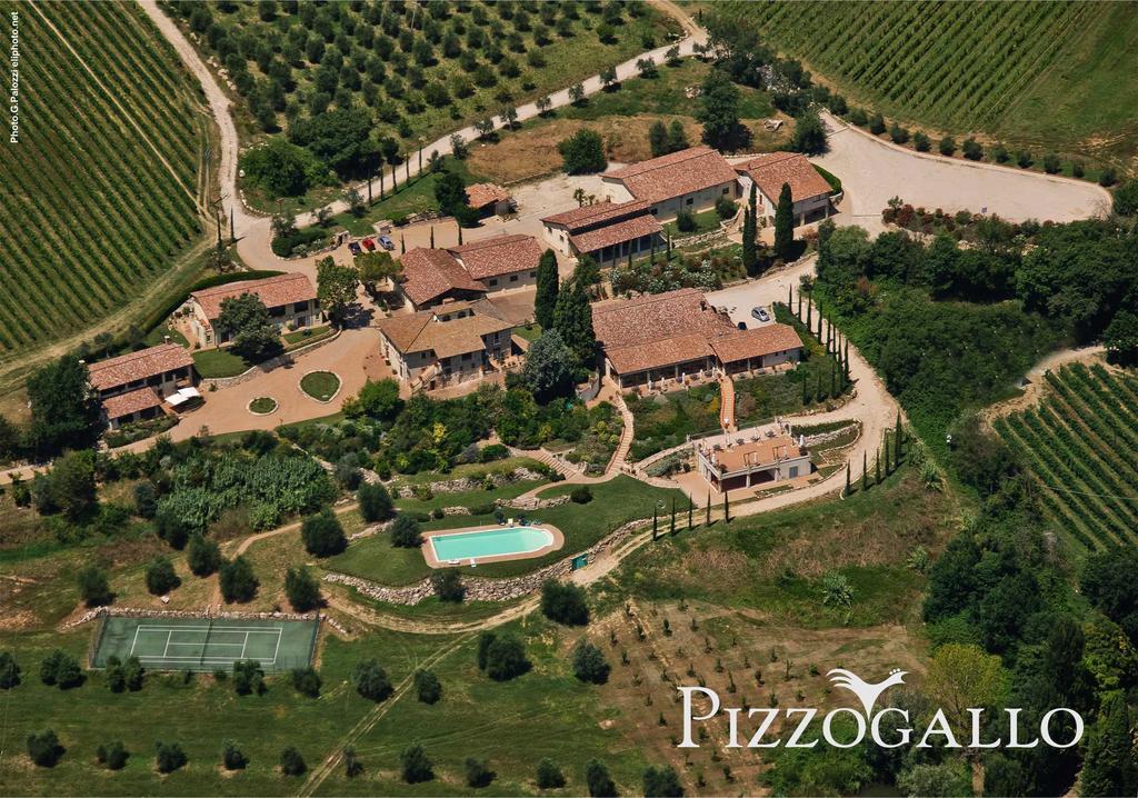 Tenuta Pizzogallo Amelia Dış mekan fotoğraf