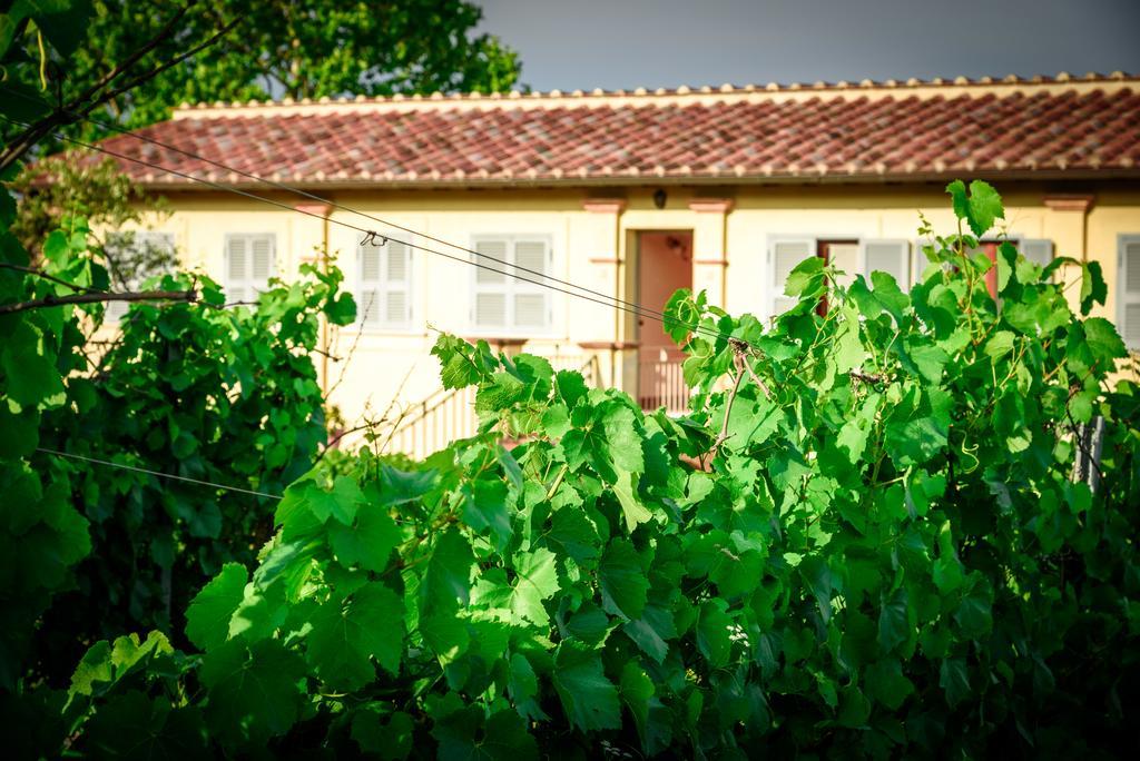 Tenuta Pizzogallo Amelia Dış mekan fotoğraf
