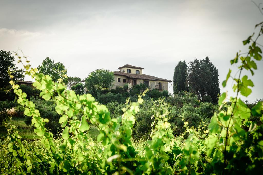 Tenuta Pizzogallo Amelia Dış mekan fotoğraf