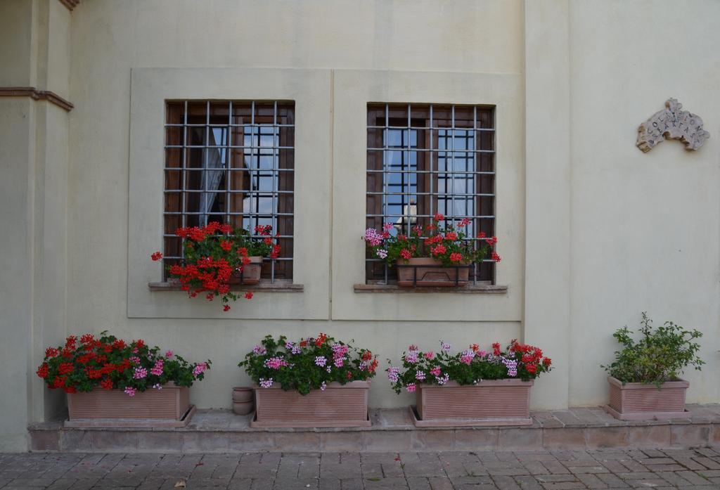 Tenuta Pizzogallo Amelia Dış mekan fotoğraf