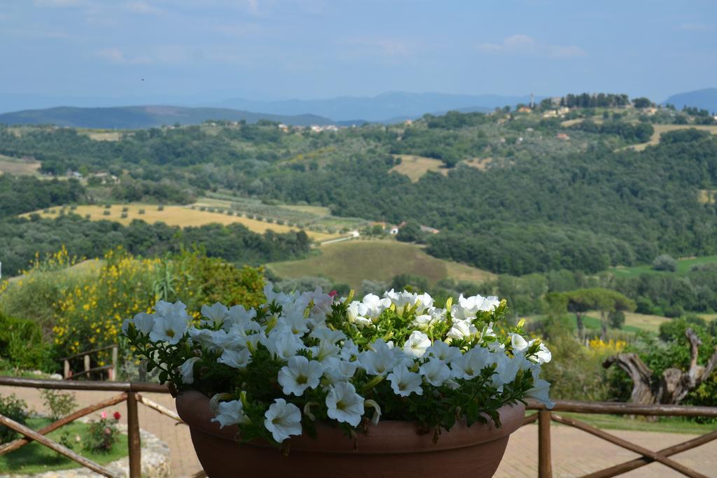 Tenuta Pizzogallo Amelia Dış mekan fotoğraf