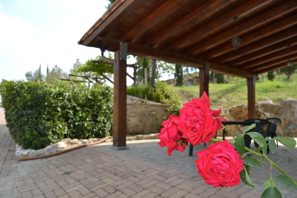 Tenuta Pizzogallo Amelia Dış mekan fotoğraf