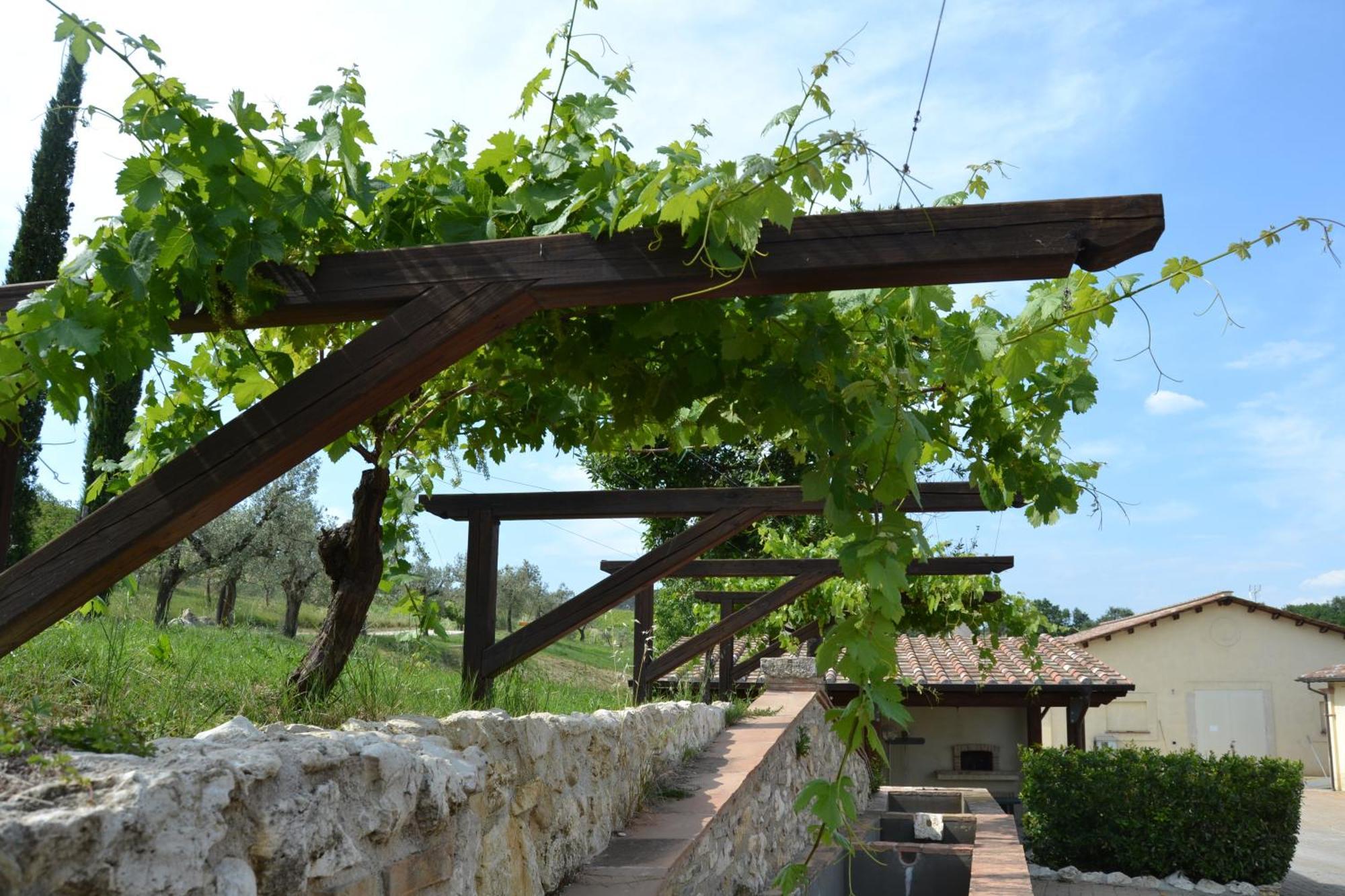 Tenuta Pizzogallo Amelia Dış mekan fotoğraf