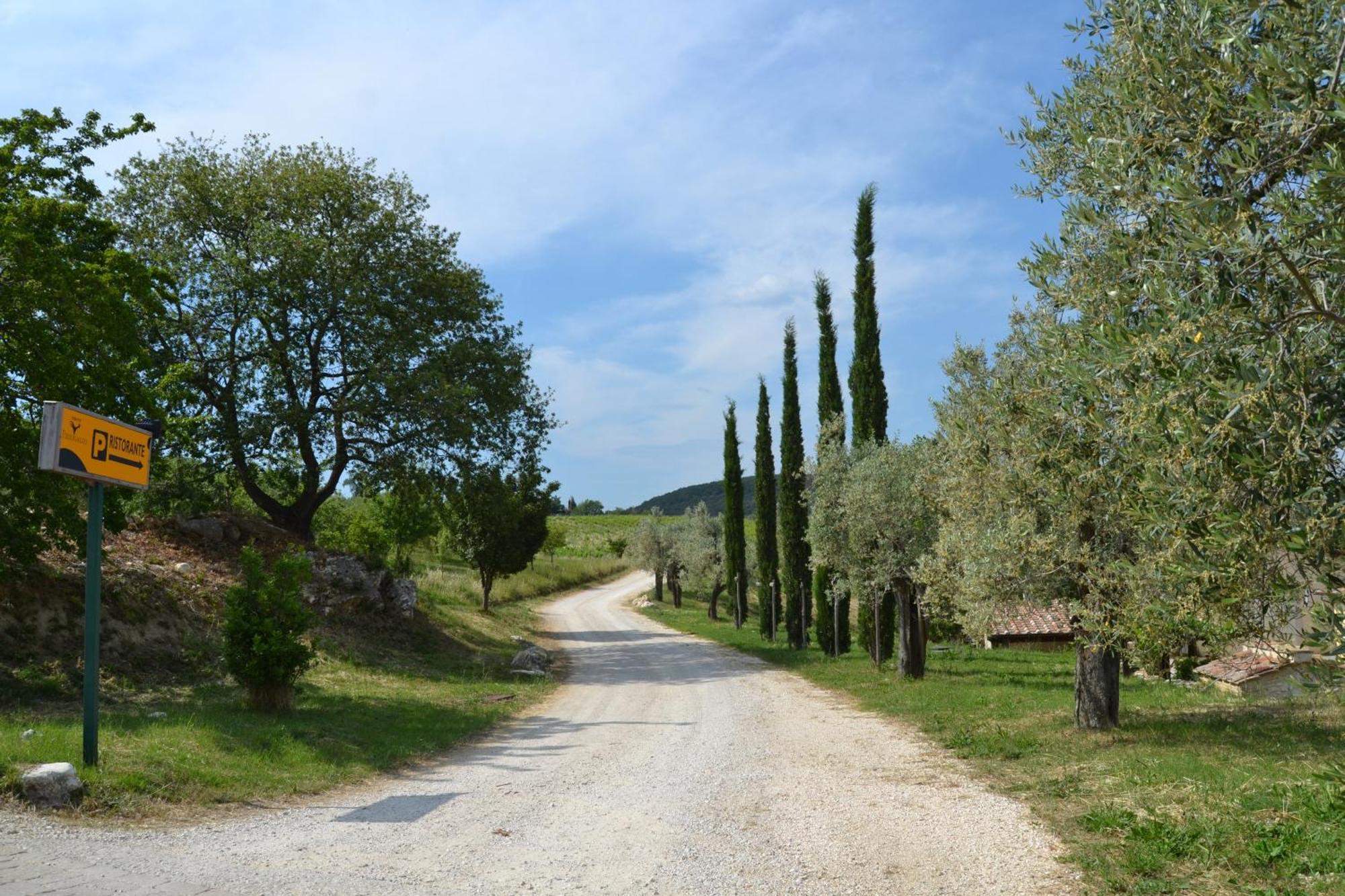 Tenuta Pizzogallo Amelia Dış mekan fotoğraf