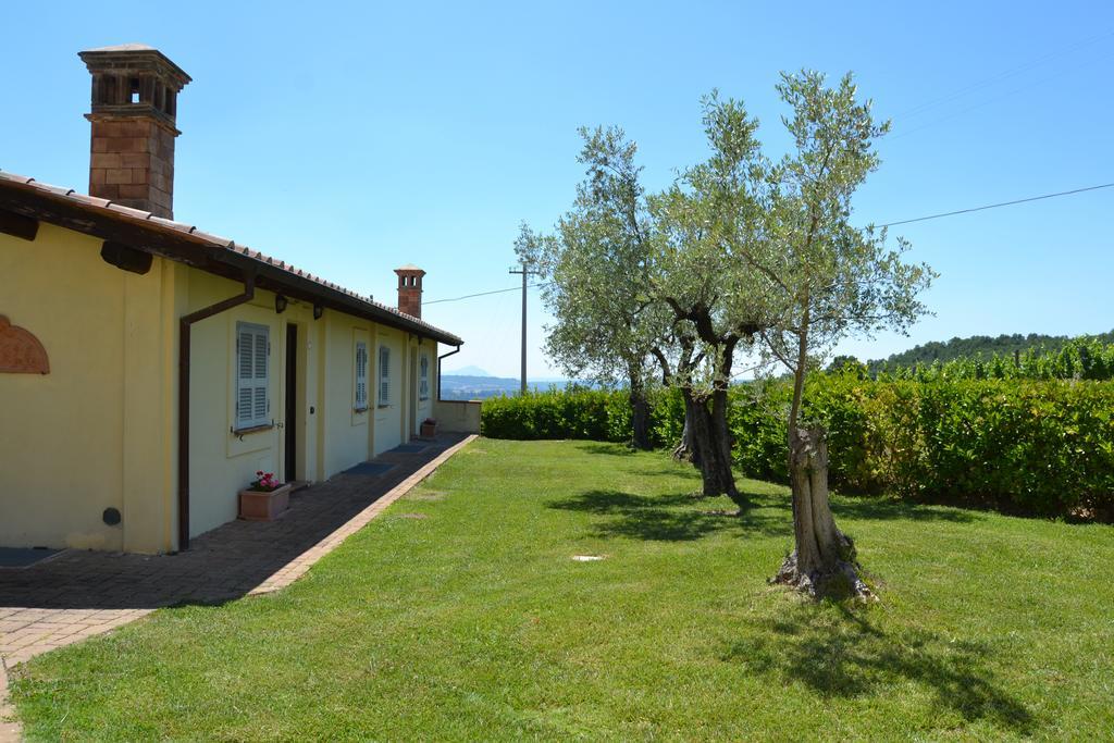 Tenuta Pizzogallo Amelia Dış mekan fotoğraf