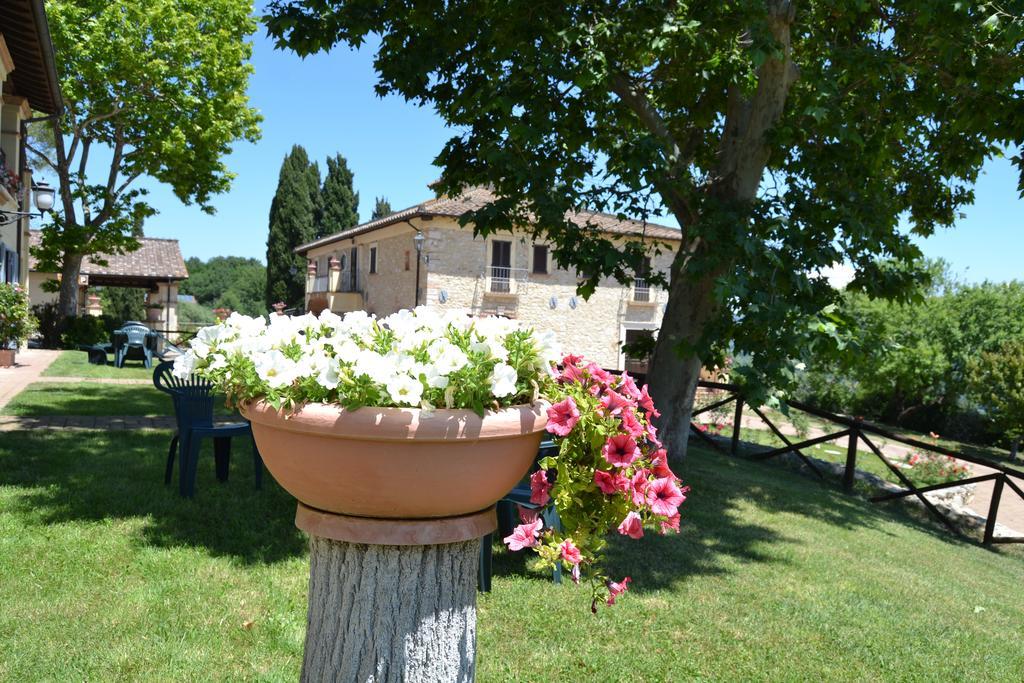 Tenuta Pizzogallo Amelia Dış mekan fotoğraf
