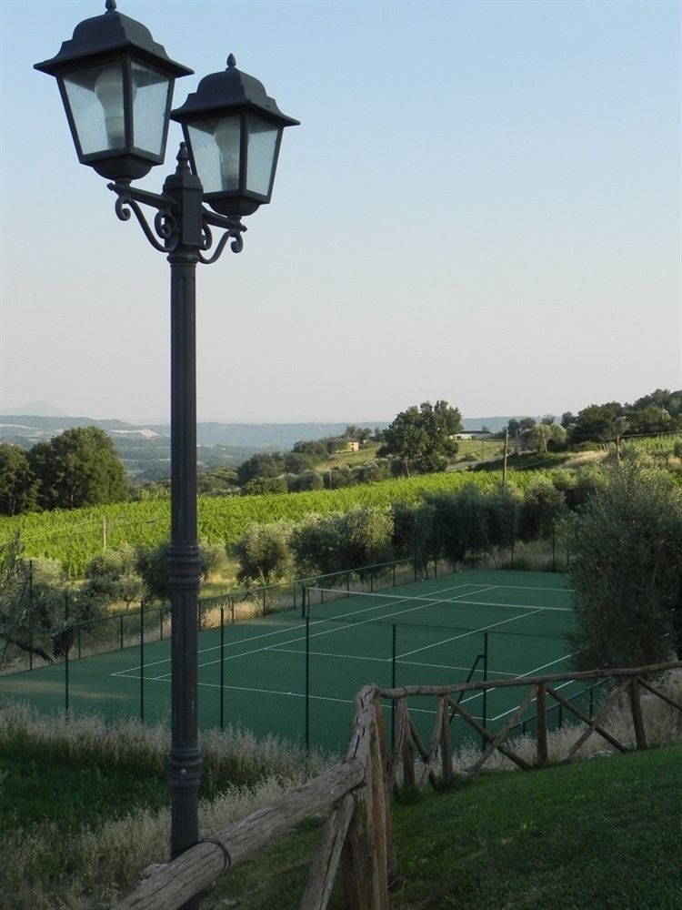 Tenuta Pizzogallo Amelia Dış mekan fotoğraf