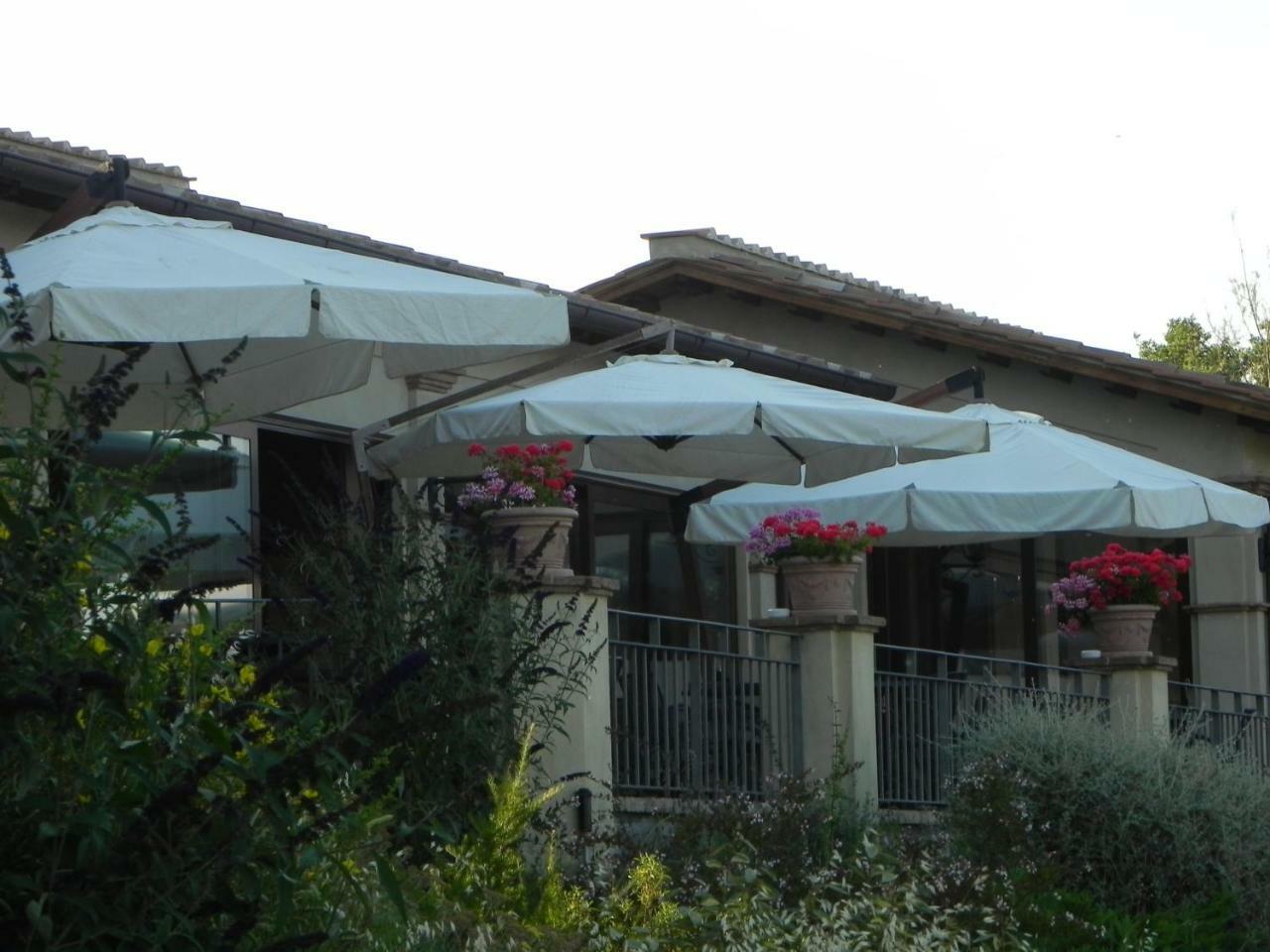 Tenuta Pizzogallo Amelia Dış mekan fotoğraf